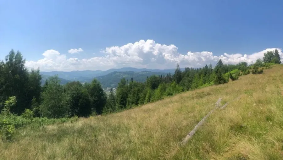 Ілюстроване фото. Державі повернули у власність заповідну землю