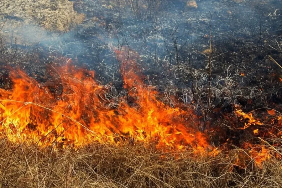 Ілюстроване фото. Наразі у громадах області працюють спільні оперативні групи рятувальників