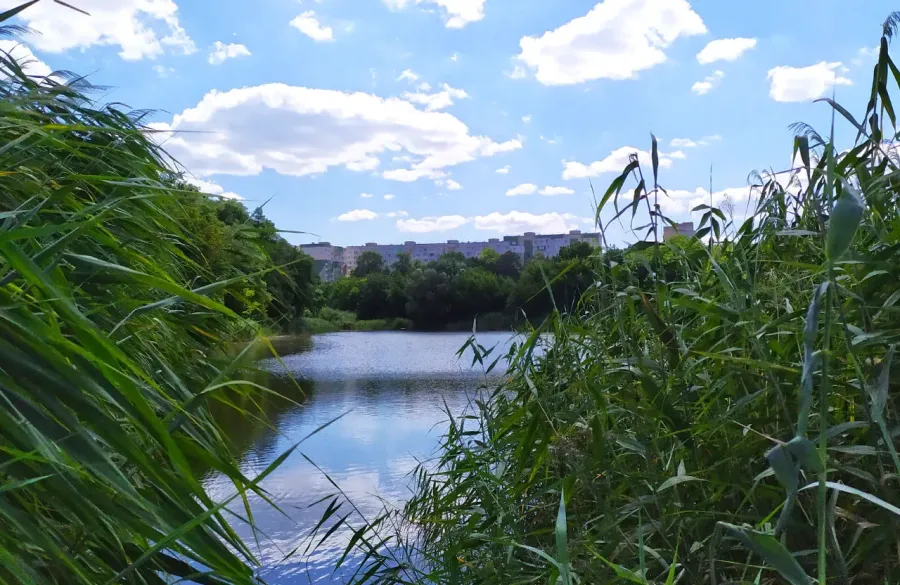 Ілюстроване фото. Підприємство сплатило кошти за користування комунальною землею