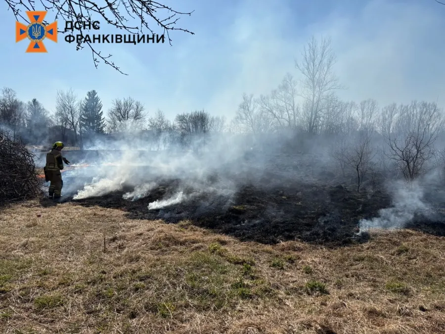 Спалювання сухостою завдає шкоди природі, знищує тваринний світ і становить реальну загрозу для людей