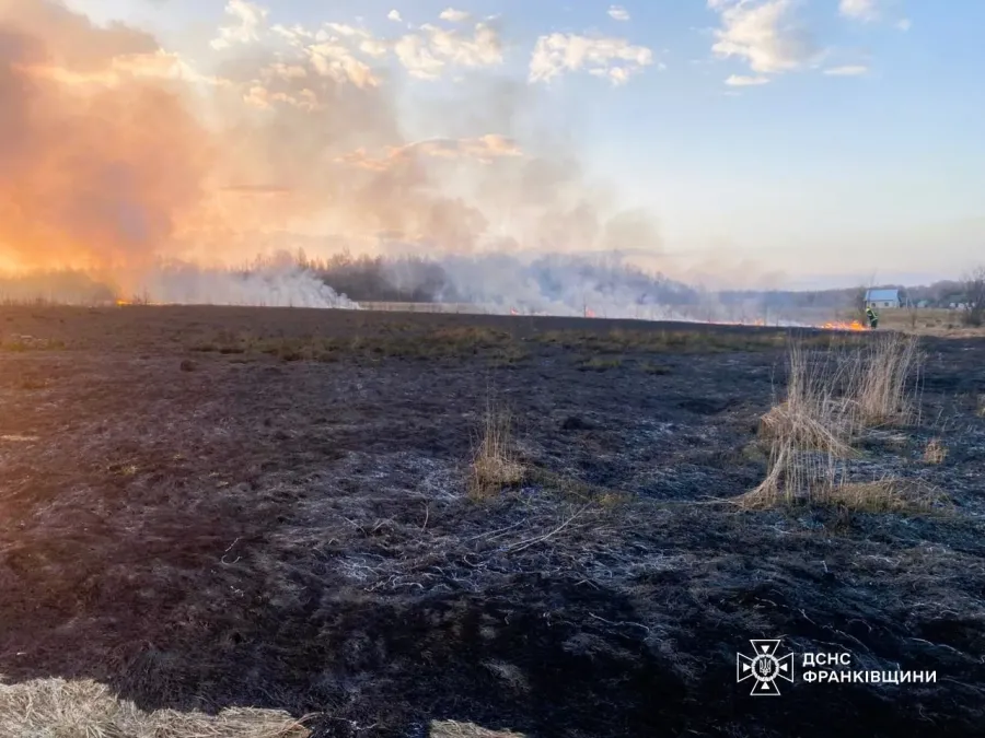 Від початку року на Прикарпатті вже зареєстровано 446 пожеж на площі 31 гектар