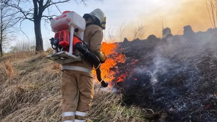 Ілюстроване фото. З початку року до адміністративної відповідальності притягнуто 92 особи