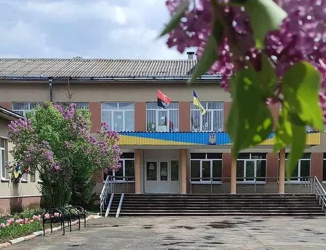 У Копанківській гімназії хочуть влаштувати мініфутбольне поле