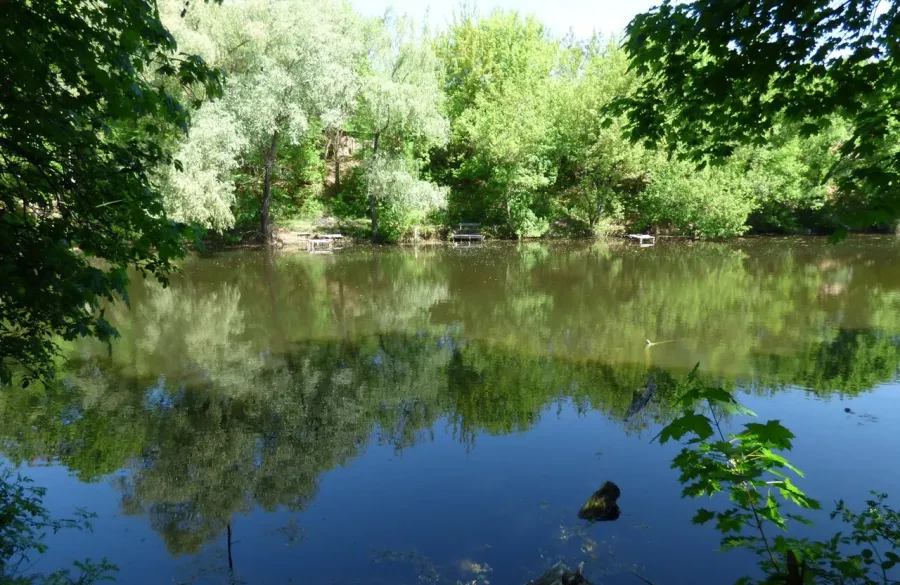 Ілюстроване фото. Територіальна громада недоотримала в свій бюджет кошти за користування ставками