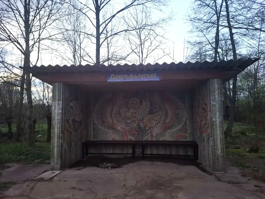 Місцеві школярі після навчання за чотири години навели порядок