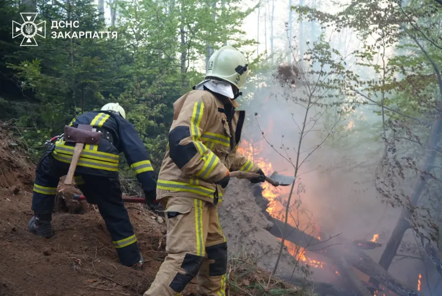 До гасіння залучені 243 людини та 46 одиниць техніки