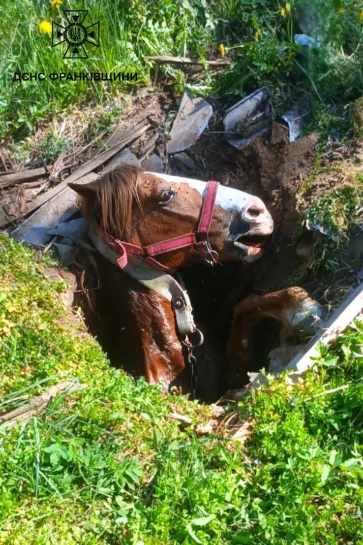 Операція з порятунку відбулася сьогодні вранці в селищі Делятин. Фото: ДСНС