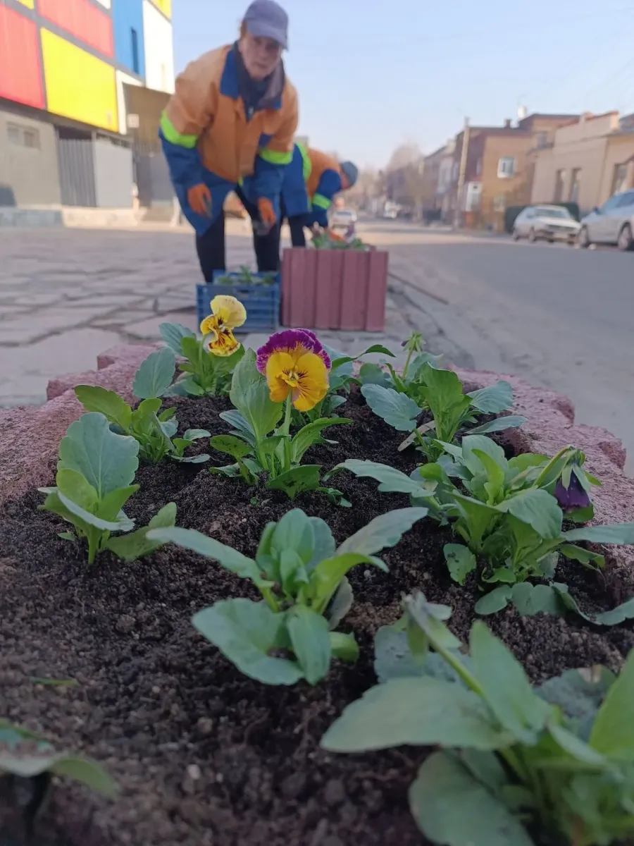 Комунальники дбають про красу на вулицях міста. Фото: "Калушавтодор"; Анна Бігун