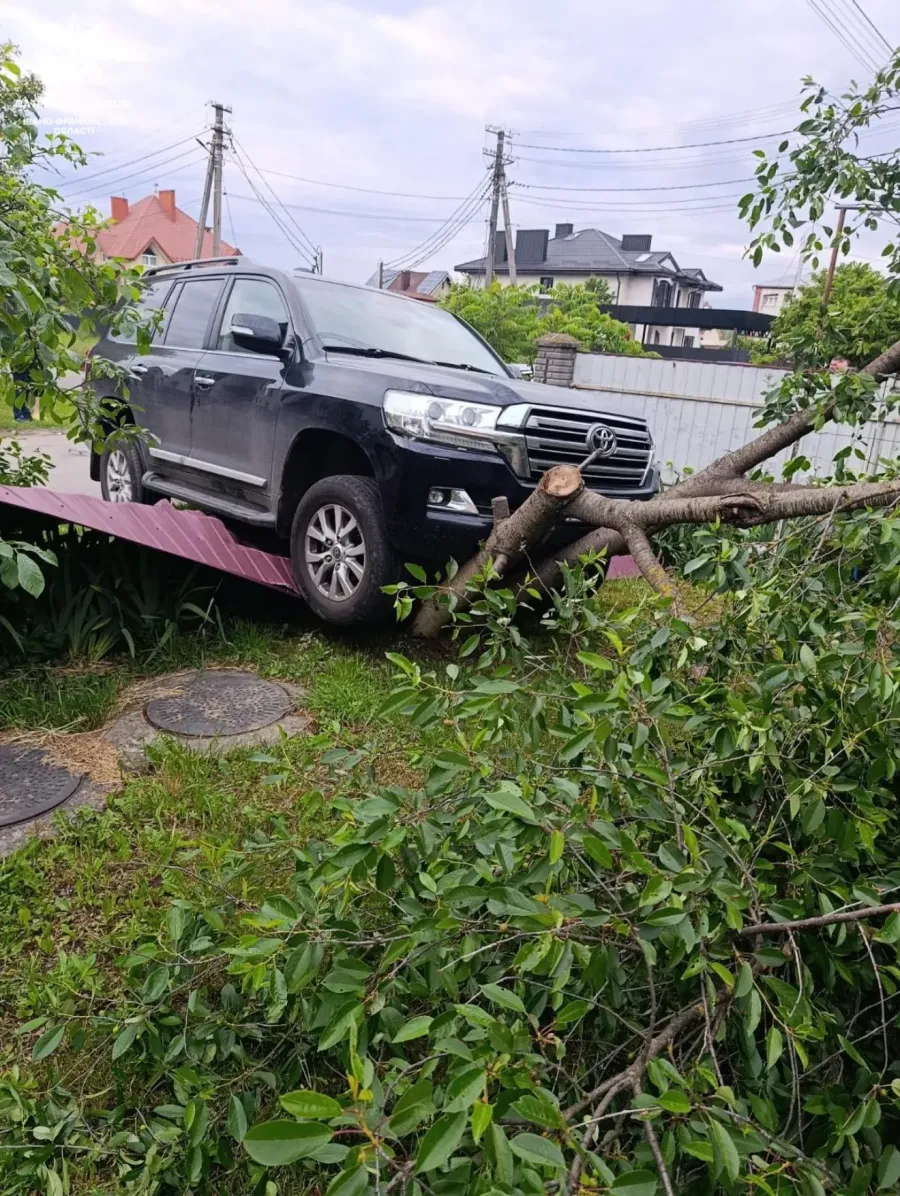 Удар був такої сили, що Toyota відкинуло з проїжджої частини прямо в паркан. Фото: Патрульна поліція