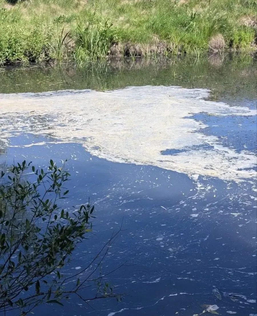 Поліція встановлює джерело забруднення Сівки. Фото: Іван Мазурик