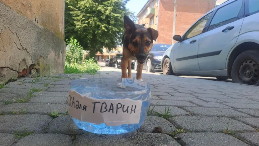 У дворах житлових будинків містяни облаштовують імпровізовані поїлки. Фото: Калуська міська рада