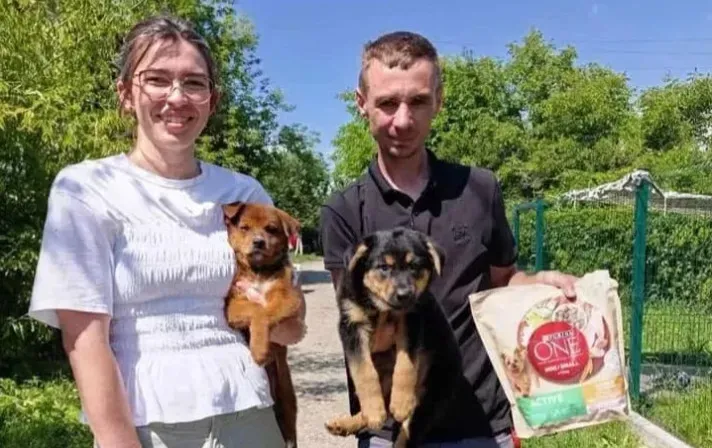Завдяки спільним зусиллям волонтерів та громади свій омріяний дім знайшли 26 тварин. Фото: "Дім Сірка м. Калуш"