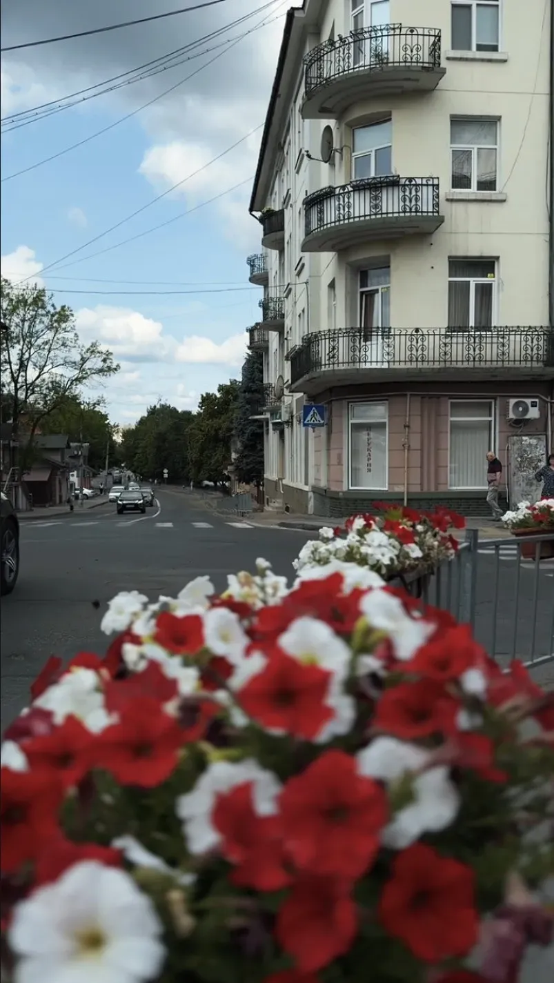 З підвісних ваз у місті масово викрадали петунію. Фото: "Вікна"