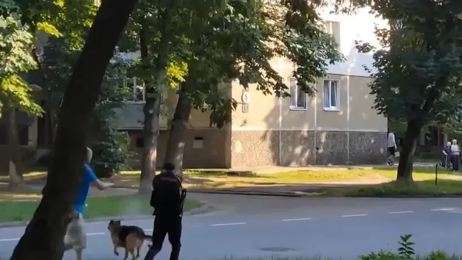 Поліціянт був змушений реагувати на ситуацію. Фото: скрін з відео