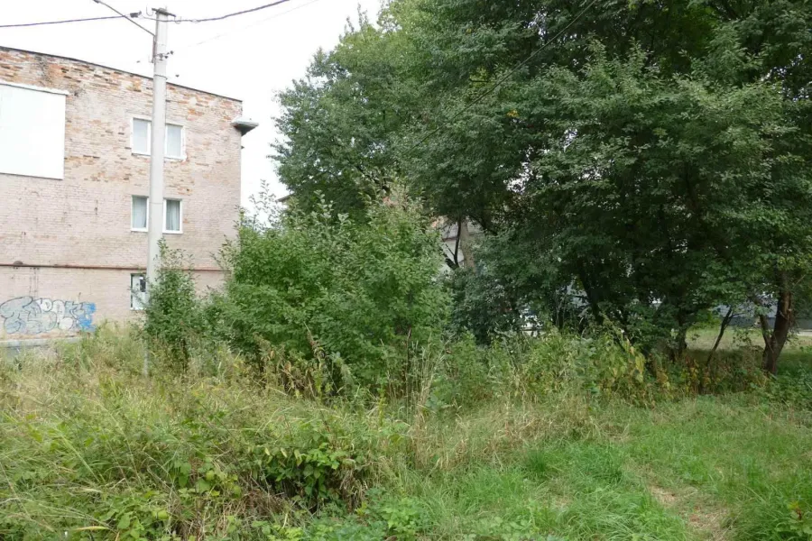 Під час обстеження виявлено низку недоліків, для усунення яких визначено відповідальних виконавців