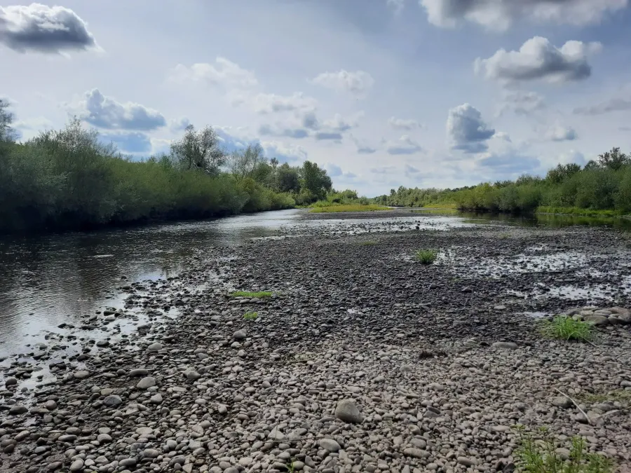 Лімниця перебуває у зоні екстремального маловоддя. Фото: Галицький НПП/Фейсбук
