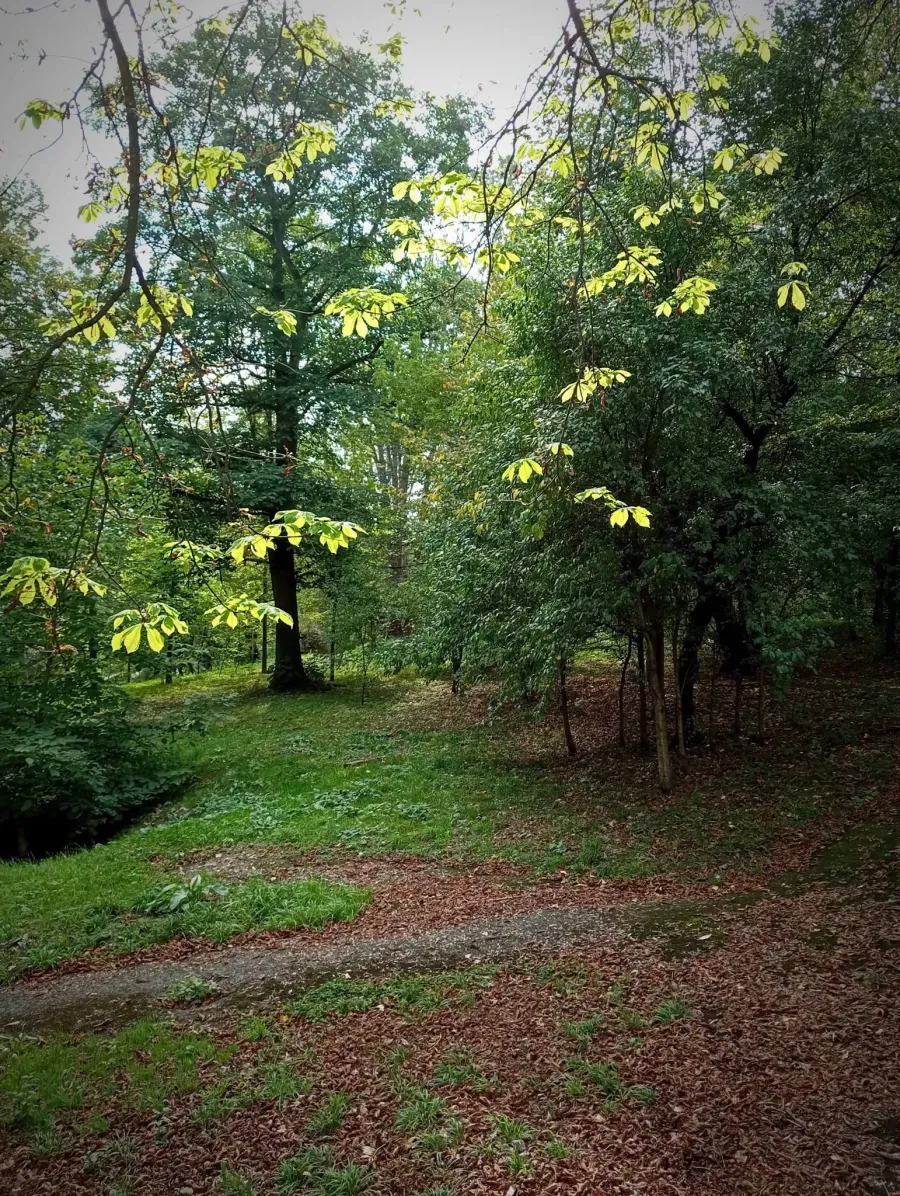Осінні моменти. Фото: Ірина Дідошак